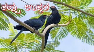 ತಪ್ಪು  ಉತ್ತರ  # Kannada Moral Stories # # Stories In Kannada # Kannada Stories #