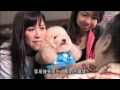 Faces of Hong Kong 2013 - Luk Yan Ling (RTHK) Cantonese subtitles