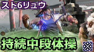 【修行用】スト6リュウの持続中段体操：第一～第三