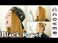 Black Clover Op3 - Black Rover┃Cover by Raon Lee