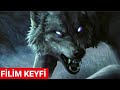 FİLİM KEYFİ-KURT FİLM TÜRKÇE DUBLAJ FUL İZLE