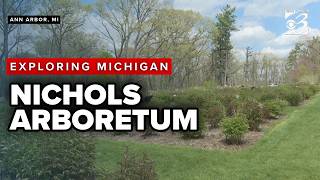 EXPLORING MICHIGAN | Nichols Arboretum offers stunning views and many outdoor activities