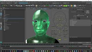 SOLVED - Animation Controls for Metahumans in Maya Stop Working