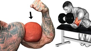 Build Bigger Insane Biceps with This Workout | 5 Massive Biceps EXs