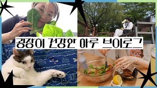 굉장히 건강한 하루 VLOG (식단,텃밭,새참,공원산책,다꾸,요즘 먹는 영양제)