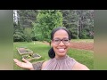 Grace Filled-Ethnic Green Living | Welcome to my Channel and Intro