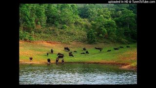 ನೂರು ದೇವರನೆಲ್ಲ ನೂಕಾಚೆ ದೂರˌ ಭಾರತಾಂಬೆಯೆ ದೇವಿ ನಮಗೆಂದು ಪೂಜಿಸುವ ಬಾರಾ ಬಾರಾ. ( ಮುಂಬೈಯಲ್ಲಿ ಸಿ ಅಶ್ವತ್ಥ್.)