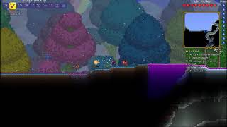 Terraria Debug