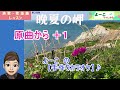 『晩夏の岬（多岐川舞子さん）』・カラオケ【よーこちゃんねる　ピッタリなキーで歌おう！】