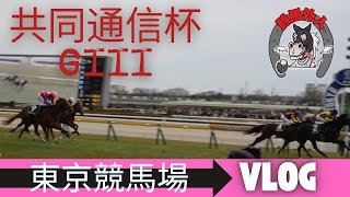 Horse racing in 4K! Tokyo GIII Kyodo news CUP! How do you loose in all races? Keiba Gaijin VLOG!