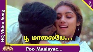 Pagal Nilavu Tamil Movie Songs | Poo Maalayae Video Song | Murali | Revathi | பூ மாலையே |Ilaiyaraaja