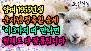 2025년 1월 운세 1955년 양띠운세🌻정축월에 '이 띠'사람들이 천복을 안겨줍니다 양띠금전운 귀인 알아보는 법 귀인만나면 '이것' 꼭 하십시오 55년생 양띠운세