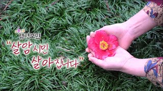 조잘조잘 걷당보민 [살암시민 살아집니다] KBS제주 240402방송