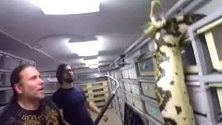When Your 19ft Python Snake Escapes... Brian Barczyk