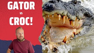 ALLIGATOR VS CROCODILE - Who wins in a fight?