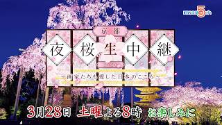 【3月28日オンエア】京都夜桜生中継2020 ～画家たちも愛した日本のこころ～｜KBS京都テレビ