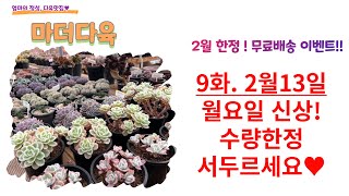 ♥[2월 13일 신상소개 제 9화] 수량한정 서두르세요^^~ 2월 한달간 무료배송 이벤트~~!!