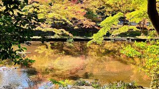 日本紅葉の名所１００選　岐阜県土岐市旅日記(14)『曽木公園(まもなく紅葉の季節)🍁✨』