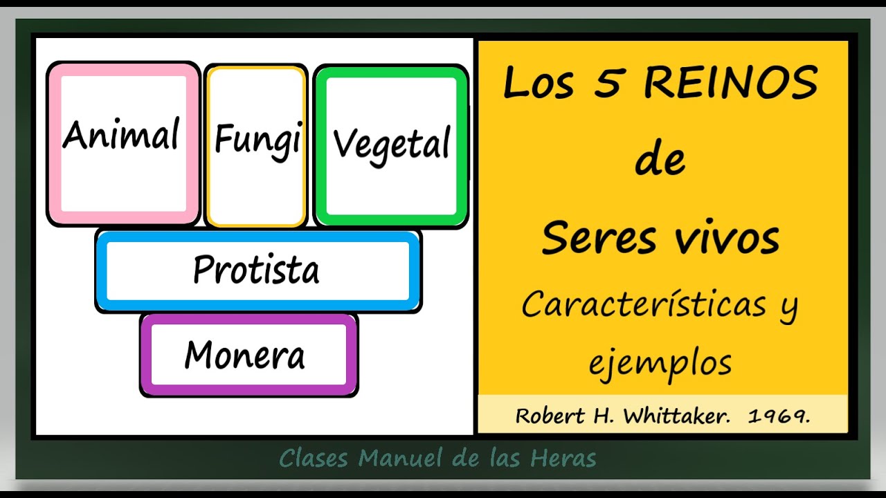 Los Cinco Reinos De Seres Vivos. Características Y Ejemplos. Biología ...