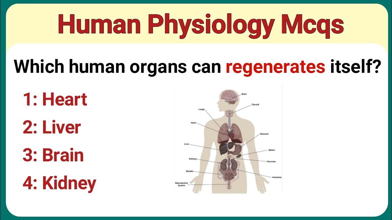 Human Anatomy Mcq || Human Physiology Mcqs | Biology Mcq For All ...