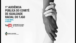 1ª Audiência Pública do Comitê de Igualdade Racial do TJGO