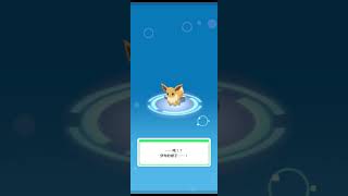 【Pokémon Sleep】進化雷伊布