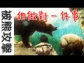 【為什麽】被熊攻擊【命運不同】