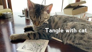 🇯🇵インスタライブ/ ゼンタングル/Zentangle with cat