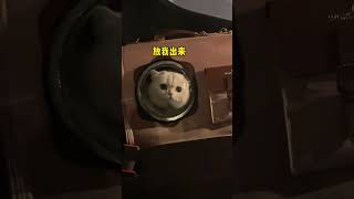 和男盆友吵架了，带着我的猫离家出走