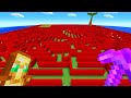 Minecraft's HARDEST MAZE vs YouTubers ($1000 challenge)