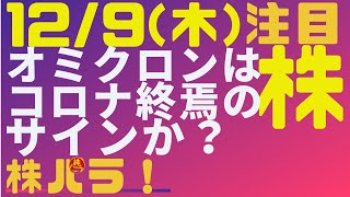 株株パラダイス！2021/12/9(木) の注目株を分析！以前、世界的 外資系 金融機関４社に勤務し、統括部長を経験した 株パラ がお送りします！！！