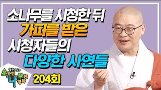 소나무를 시청한 후 수행하면서 가피를 받은 시청자들의 사연 [광우스님 소나무 시즌 1] 204회