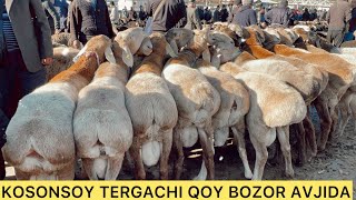 KOSONSOY TUMANI TERGACHI QOY BOZORI NARXLAR BLAN TANISHING