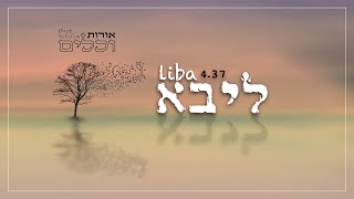 ליבא - אורות וכלים | LIBA