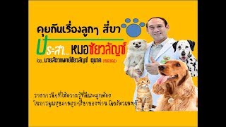 คุยกันเรื่องลูกๆสี่ขา ประสาหมอชัยวลัญช์ตอนที่ 94 การดูแลน้องหมา น้องแมวแต่ละช่วงวัย (ช่วงแรกเกิด)