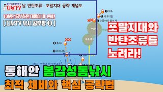 동해안 봄감성돔낚시 최적 채비와 핵심 공략법/포말지대와 반탄조류를 노려라! [디낚TV 낚시공부방#8]