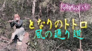 となりのトトロ　風の通り道　篠笛吹いてみた【Keisandeath】