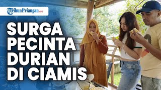 Mengintip SURGANYA PENIKMAT DURIAN di Ciamis