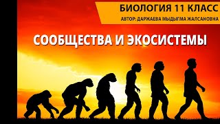 Сообщества и экосистемы