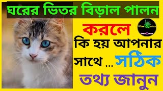 ঘরের ভিতর বিড়াল পালন করা কি জাবে?Can you keep a cat in the house.বিড়াল ঘরে রাখা।#Jana_Jana