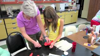 STEM-Health Camp 2012