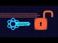 Professional Data Encryption in Python