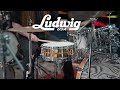 Ludwig LB550T Bronze Phonic 5x14 Snare