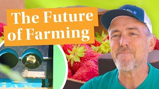 Sustainable Berry Farming | Berry Growers of Ontario