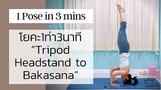 ฝึกโยคะท่าแข็งแรง Tripod Headstand สู่ Bakasana | 1ท่า 3นาทีกับครูเกลือ