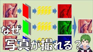 デジタル画像とは？カメラでなぜ撮れる？【デジタル画像について知ろう！】