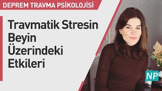 Travmatik Stresin Beyin Üzerindeki Etkileri