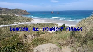 Exploring Dunedin, New Zealand. Tourist Hotspots.