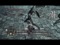 dark souls Ⅱ scholar of the first sin_虚ろの衛兵戦