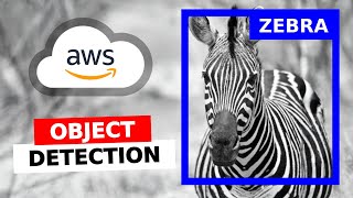 AWS Rekognition tutorial | Object detection | Computer vision